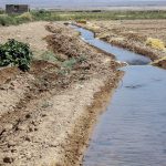 آب کانال «محمدیه» برای باغ داری و کشت صیفی جات و پیاز نیست