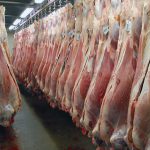 ذخیره گوشت مازاد برنیاز در سردخانه ها/لابی گری در بحث گوشت نداریم