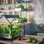 طراحی مزرعه های کوچک خانگی برای پرورش سبزیجات