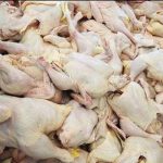 طرح خرید تضمینی گوشت مرغ در استان زنجان اجرا می شود