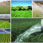 ۵۴ پروژه کشاورزی در استان زنجان افتتاح می شود