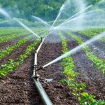 تجهیز ۱۶هزارهکتار ازاراضی کشاورزی زنجان به سیستم آبیاری تحت فشار