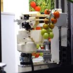 ربات گوجه فرنگی چین ساخته شد