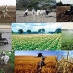 سومین همایش ملی مدیریت آب در مزرعه برگزار می‌شود