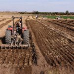 کاهش ۳۵ هزار هکتاری اراضی کشاورزی در قم