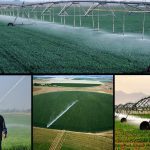 ۲۰۰ میلیارد دلار به شبکه آبیاری نوین کشاورزی اختصاص یافت