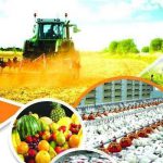 ۶۵ واحد تولیدی کشاورزی در استان زنجان تسهیلات دریافت کردند