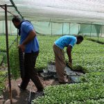 افتتاح ۷۰ پروژه کشاورزی به مناسبت هفته دولت در استان زنجان