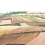 سیاست‌های ۱۳گانه بخش کشاورزی استان سمنان تدوین شده است