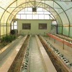 نخستین مرکز آموزشی کشت بدون خاک در گیلان افتتاح شد