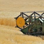 پیشنهاد قیمت ۱۸۰۰ تومانی برای گندم در سال زراعی آینده