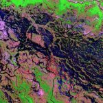 کاربرد تصاویر ماهواره‌ای در کشاورزی/ تعیین گونه گیاهی زمین زراعی