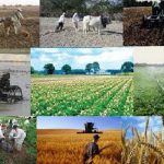 کشت محصولات کشاورزی مقاوم در برابر خشکسالی مدنظر قرار دارد