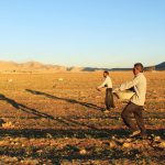 ۱۳ هزار هکتار از اراضی مهران به کشت محصولات کشاورزی اختصاص یافت