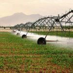 ۶۵ درصد آب استان سمنان برای مصرف کشاورزی نامطلوب است
