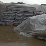 سیل اخیر زاهدان به حدود ۳۰۰ تن برنج خسارت زد/ گمرک: شرکت انبارهای عمومی به ۳ اخطار پی در پی توجه نکرد