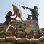 دولت هند ۲۰ درصد عوارض اضافی بر صادرات برنج وضع کرد