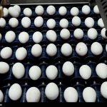 وزارت جهاد کشاورزی: فروش هرشانه تخم مرغ بالاتر از ۷۶ هزار تومان تخلف است