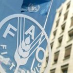 گزارش فائو از رتبه‌های تک‌رقمی ایران در تولید ۲۰ محصول کشاورزی + جزئیات