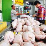 ورود دادستانی به ماجرای ضبط مرغ شرکت‌های پروتئینی/ پشتیبانی امور دام متعهد به تأمین نیاز صنعتی تولید‌کننده‌ها شد