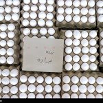 اخطار وزارت جهاد کشاورزی به مرغداران/ تخم مرغ را گران کنید، تعزیراتی می‌شوید