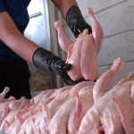 قیمت مرغ یارانه‌ای ایران به نرخ برخی کشورهای همسایه رسید