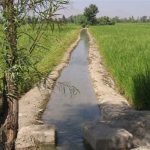 مصرف آب بخش کشاورزی در افق ۵ ساله ۱۸ درصد کاهش می یابد