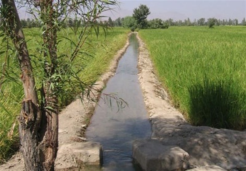 مصرف آب بخش کشاورزی در افق ۵ ساله ۱۸ درصد کاهش می یابد